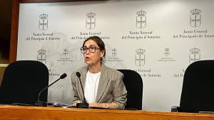 El PSOE rechaza presentar aportaciones al dictamen de Cerredo y votará en contra si señala responsables políticos