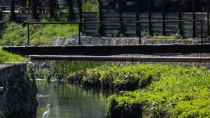 «La Primavera della Bolla»: pedalata, laboratori e mostra da Porta Capuana a Volla