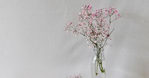 Enhancing Our Power of Smell Improves Our Cognition