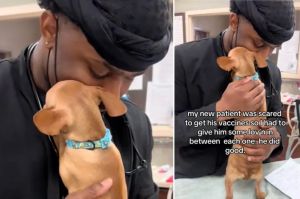 A compassionate vet paused his exam to give a tiny, terrified dog some much-needed cuddles