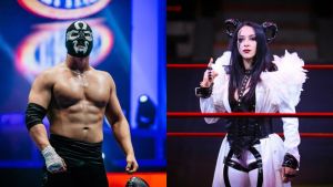 Declaran culpable a luchador que agredió a la figura de la WWE Stephanie Vaquer