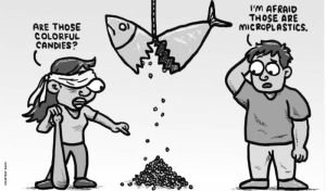 Cartoon