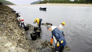 Do mar hoxe: mexillón, ostra rizada e percebe