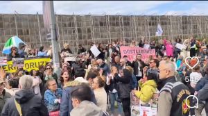 Kartallarla Leyleklerin Savaşı