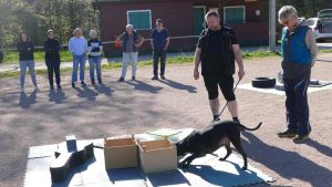 Projekt V26: Ein neues Angebot im Hundesport will auf der Baar wachsen