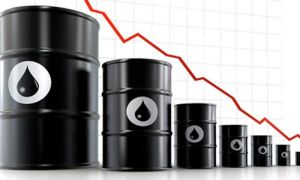 Instituciones IV: A superar la economía rentista