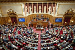 Adoptée à l’Assemblée, la loi sur la restitution des œuvres pillées par la France attendue au Sénat pour une ultime étape