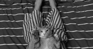 How Relationships with Animals Add Spice to Our Lives