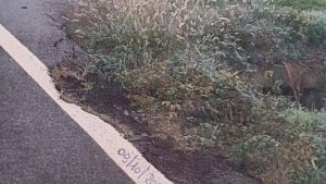 Cede il manto stradale della sp 40 a San Giusto, interviene il ministero