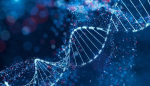 Is success written in your DNA? New study reignites nature vs nurture debate