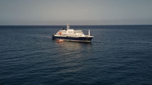 Hantavirus auf Kreuzfahrtschiff: So geht es jetzt weiter