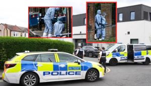 UK police arrested third suspect over London synagogue arson attack