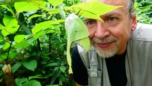Dai ragni botola alle mantidi paglia: il mondo degli insetti nel diario di un naturalista