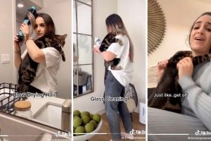 This couple has the clingiest cat on Earth and people can’t get enough of his cute demands