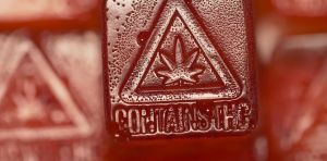 Higher‑strength medicinal cannabis may be linked to a disturbing pattern of side effects, our study shows