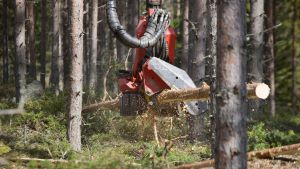 I länet sker omställningen