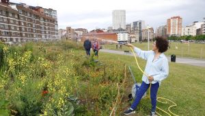 El jardín comunitario del Solarón de Gijón disfruta de un nuevo sistema de riego: 
