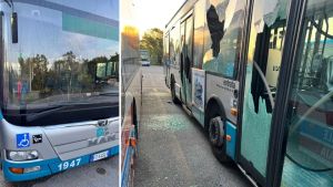 Vandali nel deposito degli autobus a Prosecco, danneggiati parabrezza e finestrini: disagi al servizio pubblico