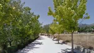 ¿Primavera o consuelo?