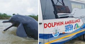 Dolphin Ambulance Saves Stranded Ganges River Dolphin in Rescue Operation