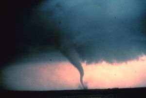 AI Isn't Built for the Black Swan Era of Bad Weather