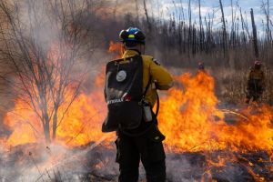 Opinion: Wildfires, tourism and our shared responsibility