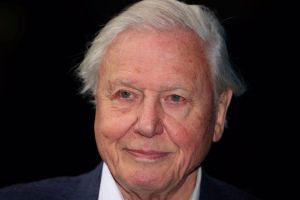 (PORTRET TEDNA) Sir David Attenborough: Prvi glas narave praznuje sto let