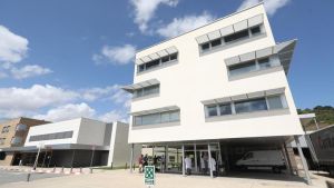 Realidad asistencial del servicio de Medicina Interna del Hospital García Orcoyen de Estella-Lizarra