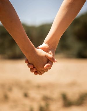 From Hostility to Coexistence