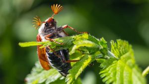 Die richtige Balance im Umgang mit der Natur finden