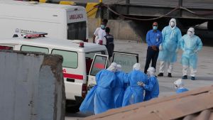 Droht eine Hantavirus-Pandemie?