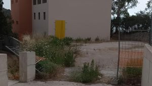 Ex asilo Ricasoli, al via il bando