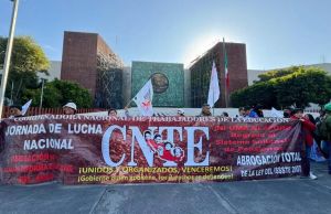 El bosque y la resistencia en la educación