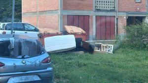 Bellavista, abbandoni di auto e di rifiuti ingombranti: «Serve un contrasto»