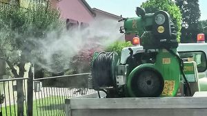 West nile in crescita a Treviso, lo scorso anno i casi in crescita del 40 per cento: scatta il piano disinfestazione