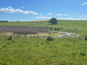 DN-forperson: - Planloven beskytter vores natur og landskab