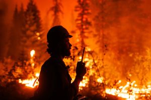 How we created a devastating fire debt
