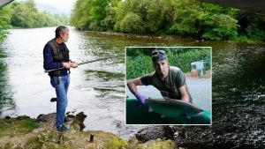 El campanu del Narcea no saldrá a subasta este año: el emotivo homenaje que rendirán a un querido vecino de Salas