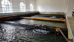 Il risiko dell’acqua a Trieste, un mese per decidere. Il sindaco Dipiazza: «Bandiremo una gara europea»