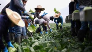 México ante los convenios globales