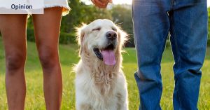 Can you really afford that cute pooch? How to avoid pet regret