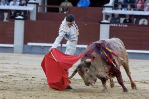 Sobre la persistencia de la fiesta nacional