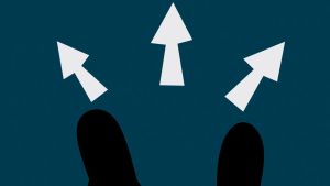 Legisladores y toma de decisiones