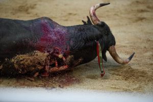 Alegato antitaurino