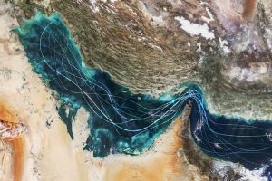 The Grey Rhino: Strategic Neglect and the Collapse of Energy Security