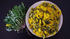 Fiori commestibili, un pieno di vitamine. Quali sono quelli edibili e come utilizzarli in cucina