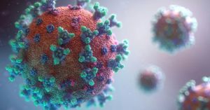 What COVID Taught Us About Managing Hantavirus Anxiety