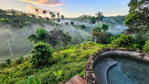 Sightseeing Immersions in the Caribbean: Into the Wild Heart of OYA