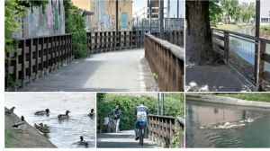 Monfalcone, viaggio lungo il canale De Dottori fra bellezza e sporcizia