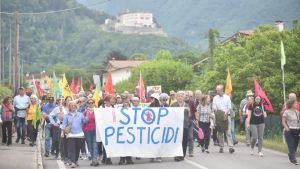 La grande marcia contro i pesticidi: il corteo tra le colline del Prosecco